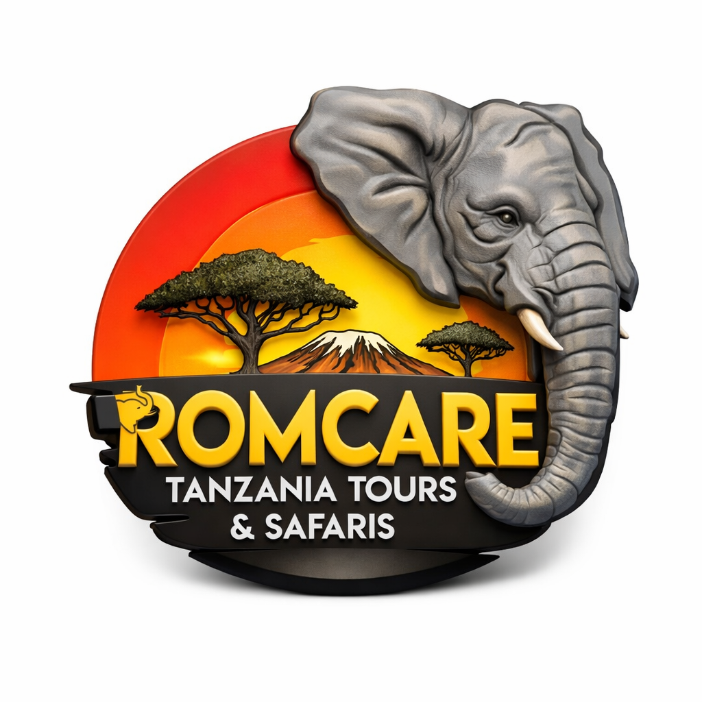 Travel Agent - Romcare Tanzania Tours & Safaris